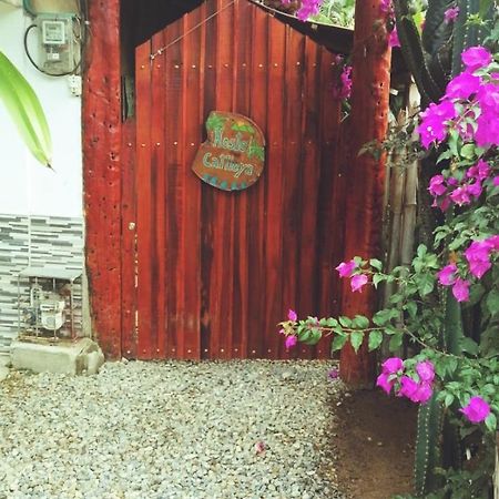 Hostel Cattleya Palomino Extérieur photo