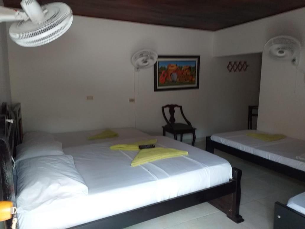Hostel Cattleya Palomino Extérieur photo