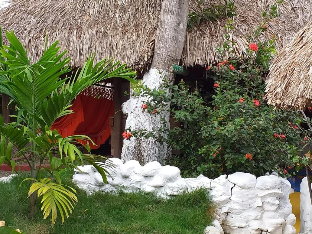 Hostel Cattleya Palomino Extérieur photo