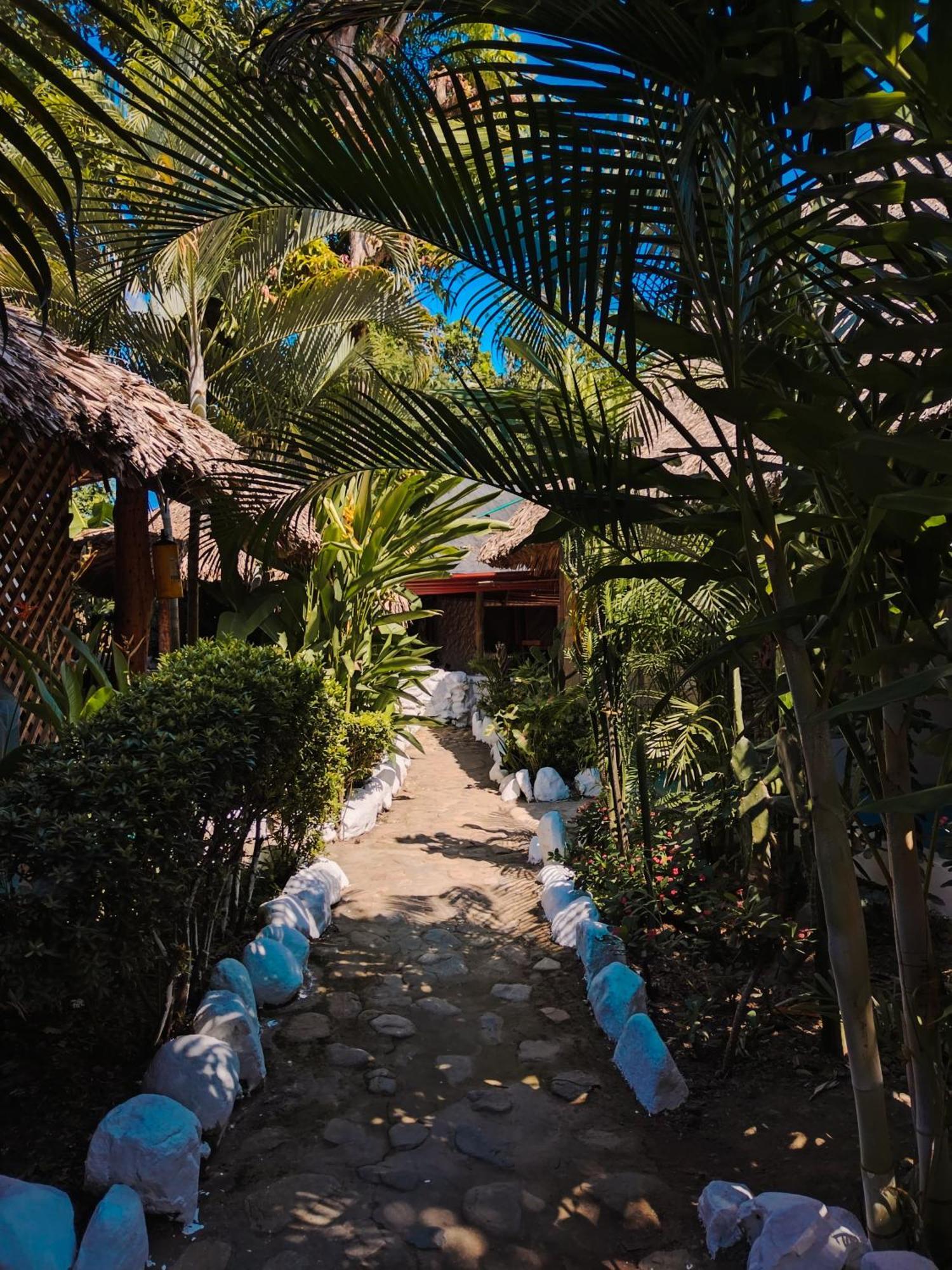 Hostel Cattleya Palomino Extérieur photo