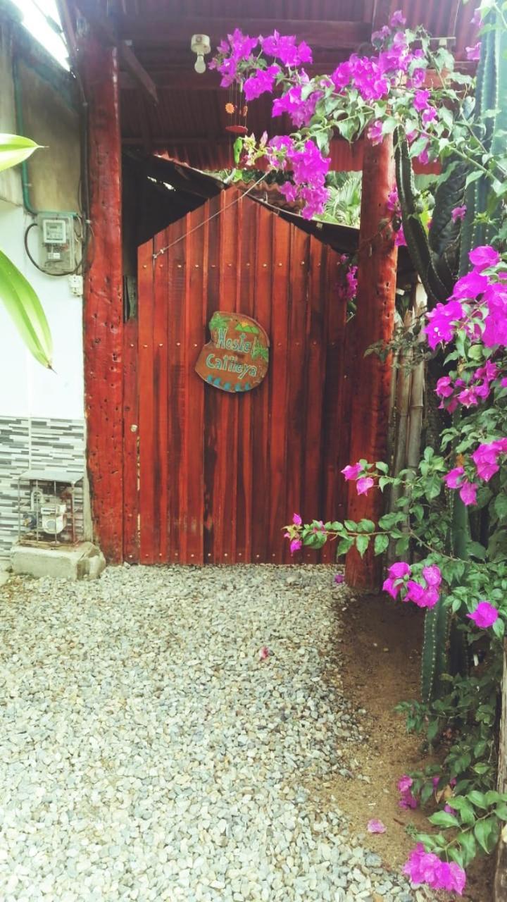 Hostel Cattleya Palomino Extérieur photo