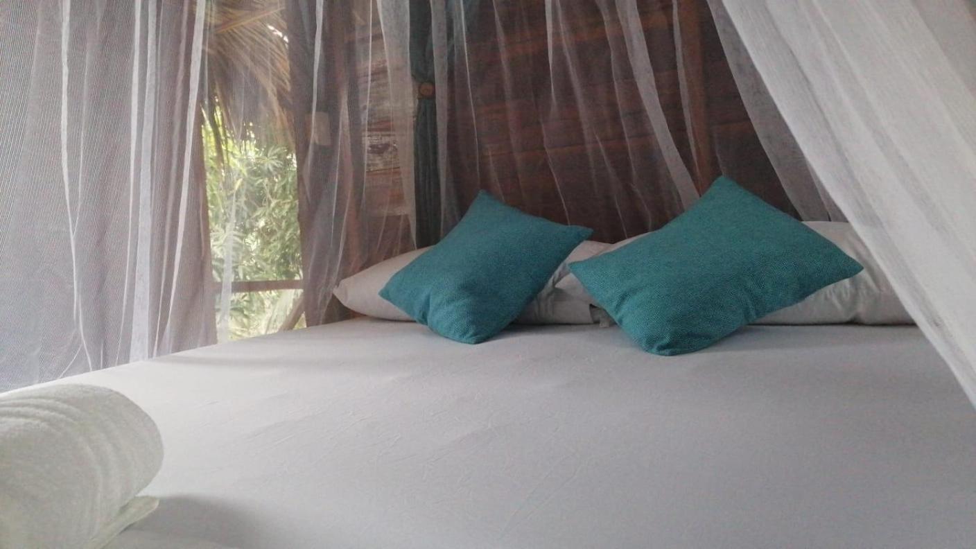 Hostel Cattleya Palomino Extérieur photo