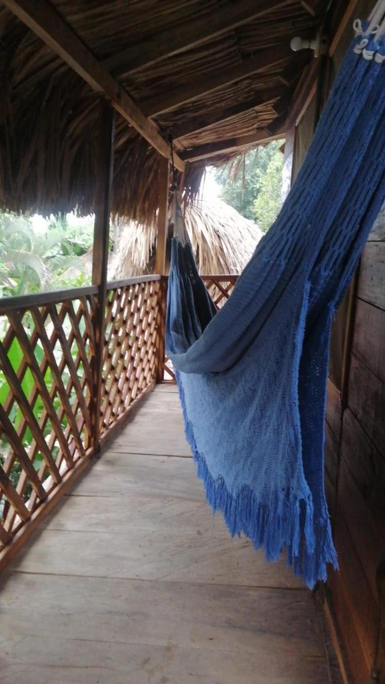 Hostel Cattleya Palomino Extérieur photo