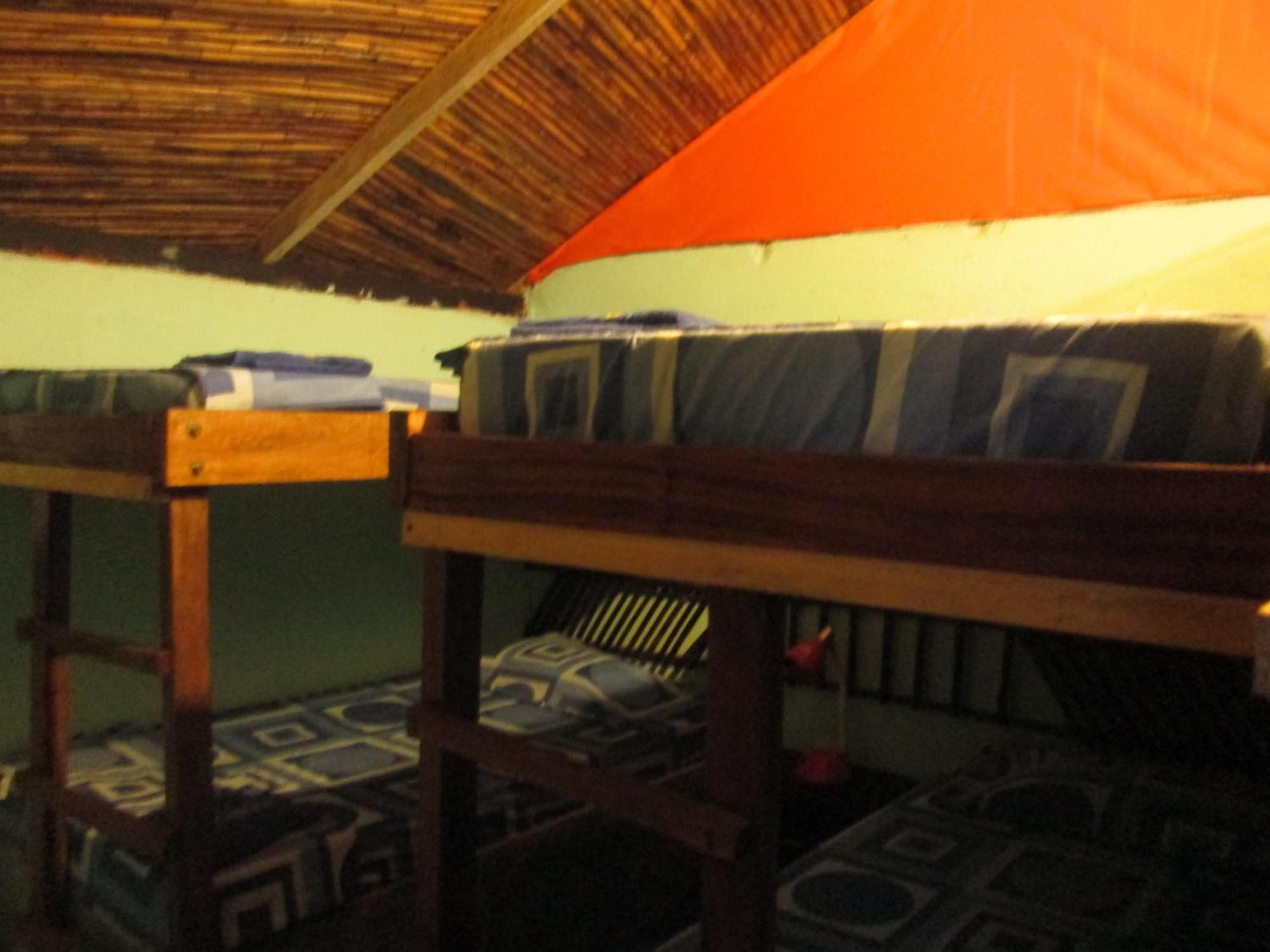 Hostel Cattleya Palomino Extérieur photo
