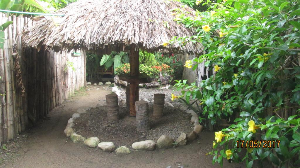 Hostel Cattleya Palomino Extérieur photo