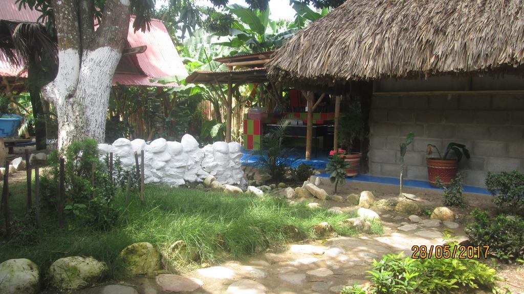 Hostel Cattleya Palomino Extérieur photo