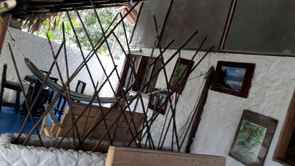 Hostel Cattleya Palomino Extérieur photo