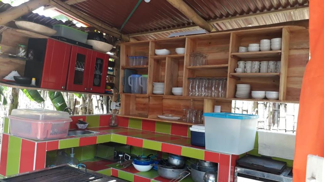 Hostel Cattleya Palomino Extérieur photo